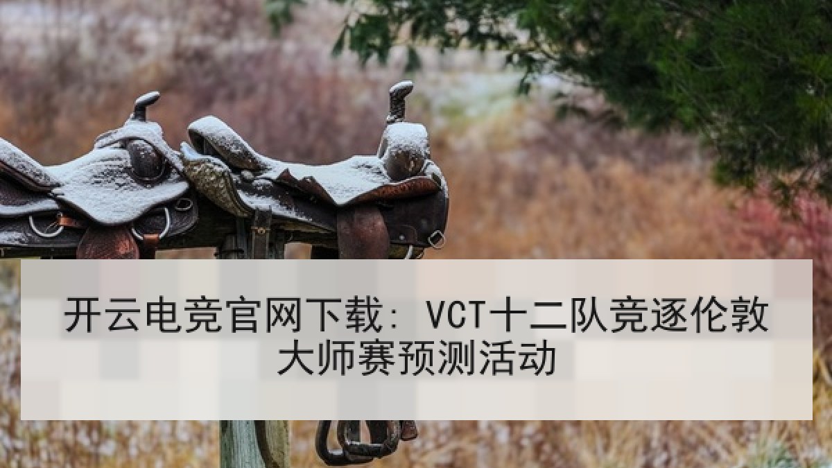 开云电竞官网下载: VCT十二队竞逐伦敦大师赛预测活动