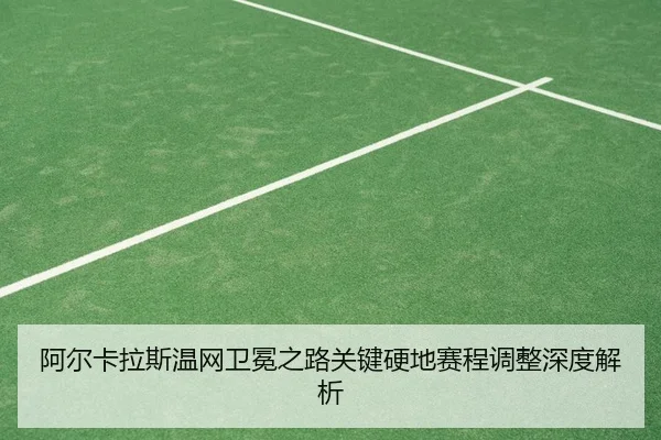 a-er-ka-la-si-wen-wang-wei-mian-zhi-lu-guan-jian-ying-di-sai-cheng-tiao-zheng-shen-du-jie-xi-2-947.jpg