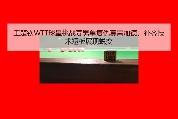 wang-chu-qin-qiu-xing-tiao-zhan-sai-nan-dan-fu-chou-mo-lei-jia-de-bu-qi-ji-shu-duan-ban-zhan-xian-tui-bian-2-464.jpg