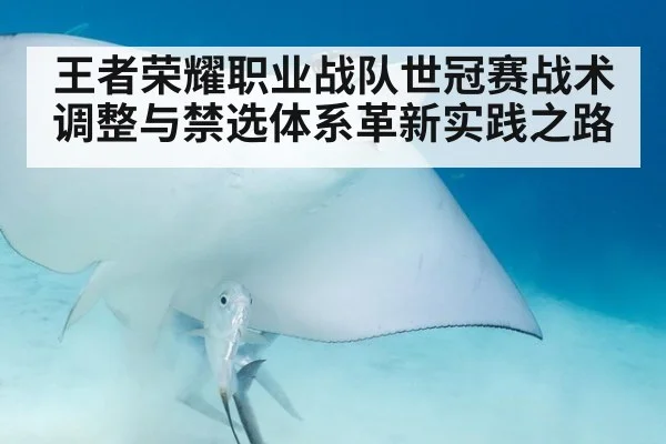 王者荣耀职业战队世冠赛战术调整与禁选体系革新实践之路