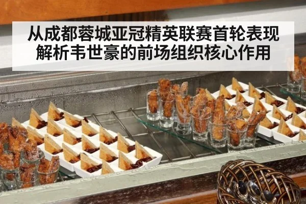 从成都蓉城亚冠精英联赛首轮表现解析韦世豪的前场组织核心作用